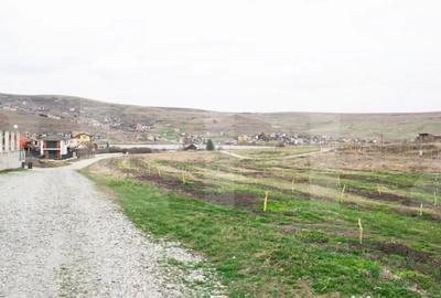 Teren în Câmpenești - 1