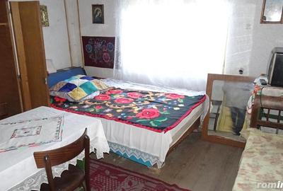 Vand casa curte si gradina in Branisca (la 15 Km de Municipiul Deva), suprafata de teren 2245 mp - 8
