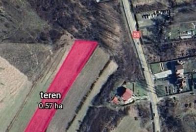 Teren extravilan de 5755 mp, în Calea Caransebeșului - 1