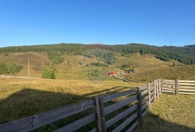 Teren+casă lemn-zona superba-Statiunea Belis-Fantanele,Giurcuta de Sus - 4