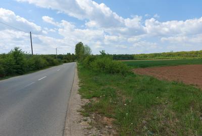 Teren Construcții intravilan de 35000 mp, în Bălteni - 4