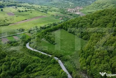 Teren de 13860 mp, în Central - 6