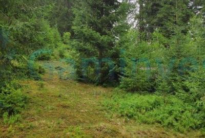 Teren de 2220 mp, în Arieșeni - 7