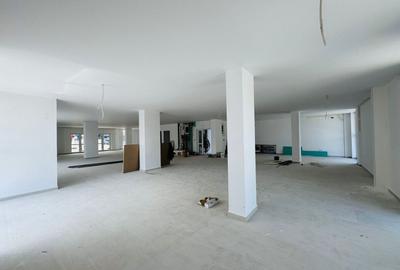 Spațiu comercial, de 290 mp, în Micălaca - 4