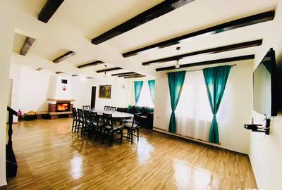 Casa de vacanta Rau Sadului - 1