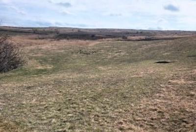Teren agricol extravilan de 11500 mp, în Pata - 1