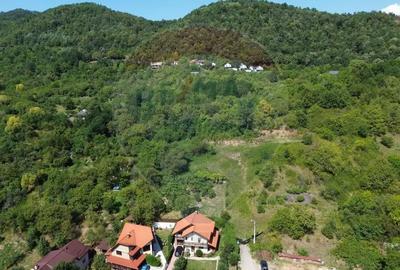 Teren de 2868 mp, în Săsar - 4