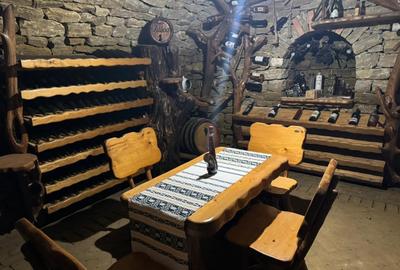 Vila exclusivista -Family Market Bucium Vila exclusivista -Family Market Bucium - 4