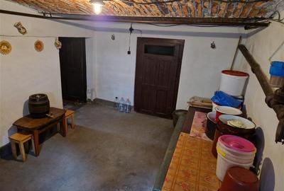 Poveste saseasca la umbra vitei de vie, cu crama si gradina cu flori, Central Co - 51