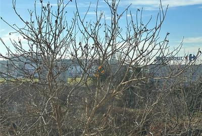 Garsoniera Renovata Noul Mall - 4