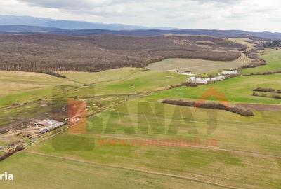 Spațiu comercial, în Șura Mică - 9