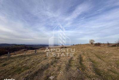 Casă cu 4 camere cu Teren 2231 Mp în Cerbăl - 9