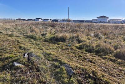 Spațiu comercial, în Bradu - 2