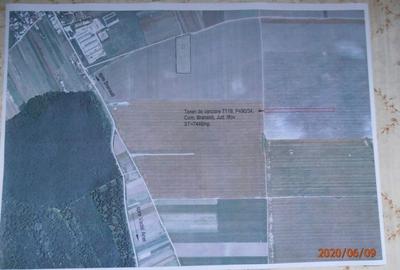 Spațiu comercial, în Brănești - 1