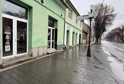 Spatiu Comercial De Vanzare Strada Dornei - 1
