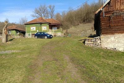 Casă cu 3 camere cu Teren 5208 Mp în Oprișești - 5