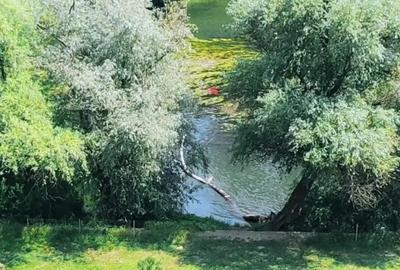 Apartament 4 camere - 11