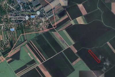 Teren de 10000 mp, în Merii Petchii