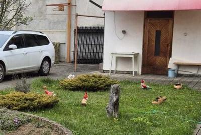 Casă individuală cu 6 camere cu Teren 994 Mp în Calea Dumbrăvii - 8