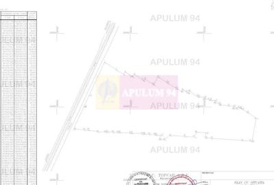 Teren 40ha Adunatii Copaceni | Industrial/ Logistic - 4