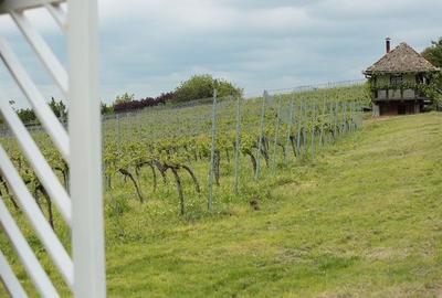 Casă individuală cu 6 camere cu Canalizare în Miniș - 40