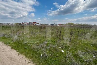 Teren în Cernele - 2