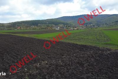 Spațiu comercial, în Bicfalău - 6