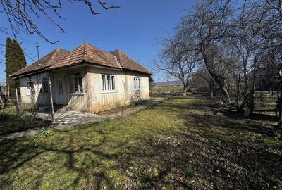 Casă cu 3 camere cu Teren 8000 Mp în Someș-Odorhei - 7