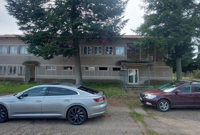 Vand Fost Complex de porci - 4