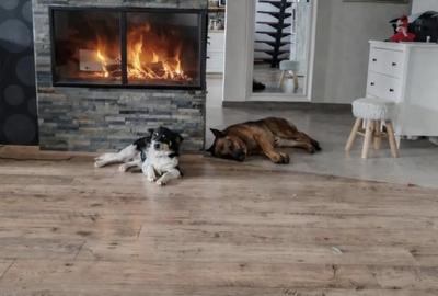 Proprietate deosebita de vanzare cu eficien?a energetica excep?ionala, natura pura - 5