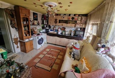 Casă de vânzare Aroneanu priveliște lac - 2