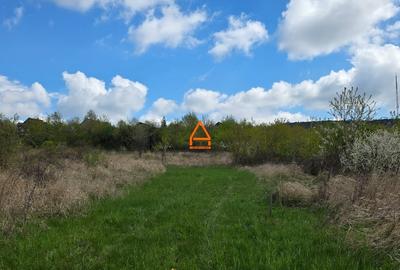 Teren Construcții intravilan de 6315 mp, în Bârnova - 2