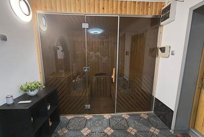 Camil Ressu- Ramnicu Sarat-adiacent- Fizicienilor curte+p... - 12