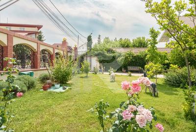 Casa cu teren de 3000 mp - ponton la lac - piscina si casa de oaspeti - 16