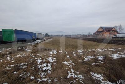 Teren intravilan 3995 mp, 22 m deschidere la DN17, zona Rusu - 4