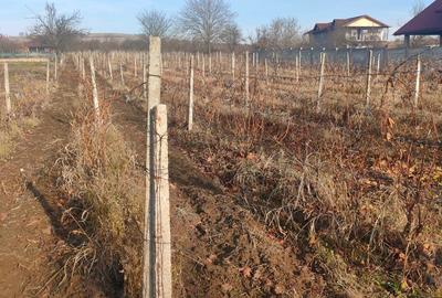 Teren în Valea Călugărească - 6