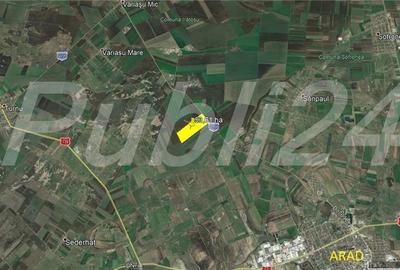 53,60 ha teren la soseaua Arad- Iratos - 3