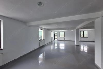 Spațiu comercial, de 440 mp, în Ștefăneștii de Jos - 22