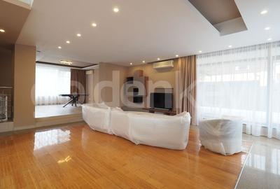 Vila cu 9 camere | recent renovata | Mega Image - 3