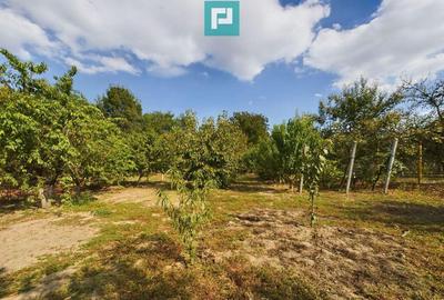 Casa cu teren 2877 mp, ora?ul Ineu - 2