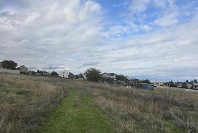 Teren de 1500 mp, în Ovidiu - 3