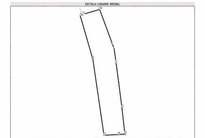 Teren de 6000 mp, în Sălicea