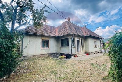 Casă Spațioasă cu teren Generos de 3416 mp în Tăuții Măgherăuș - 5