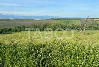 Teren de 8900 mp, în Șura Mare - 3