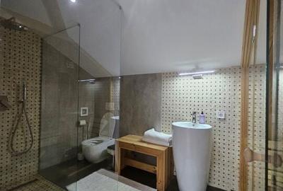 Vila individuala superba Mogosoaia! - 11