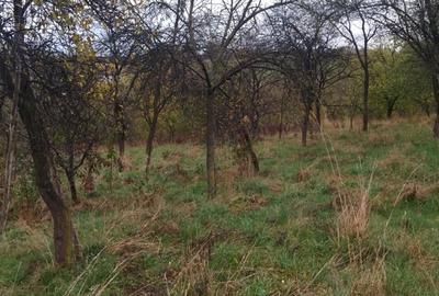 Casă în Pișchinți - 5