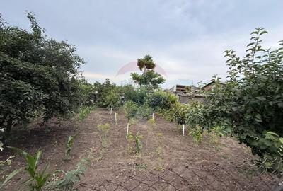 Casă individuală cu 6 camere cu Teren 1340 Mp în Zorleni - 4