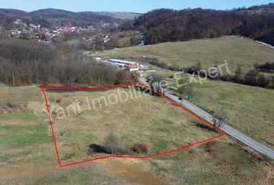 Teren de 10000 mp, în Central - 5