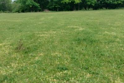 Teren de 7200 mp, în Rediu - 3