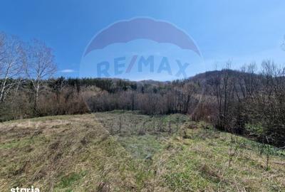 Teren de 9428 mp, în Mărgineni - 2